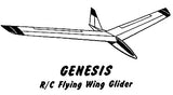 Genesis Flying Wing Plan